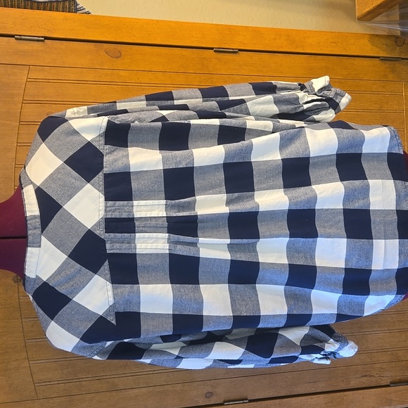 062 J. Crew Navy and White Hilo Long Sleeved Flannel Striped Shirt - Picture 5 of 9